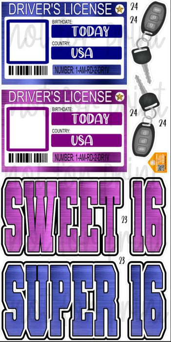 Drivers License Photo Frames- USA Dark pink/blue