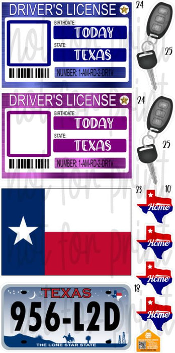 Drivers License Photo Frames- Texas