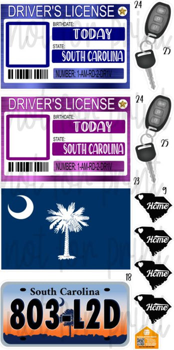 Drivers License Photo Frames- South Carolina