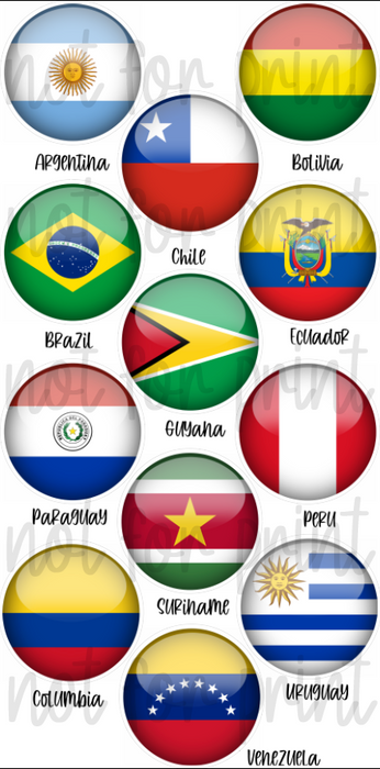 South American Flag Buttons
