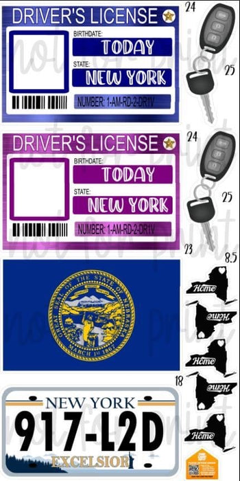 Drivers License Photo Frames- New York